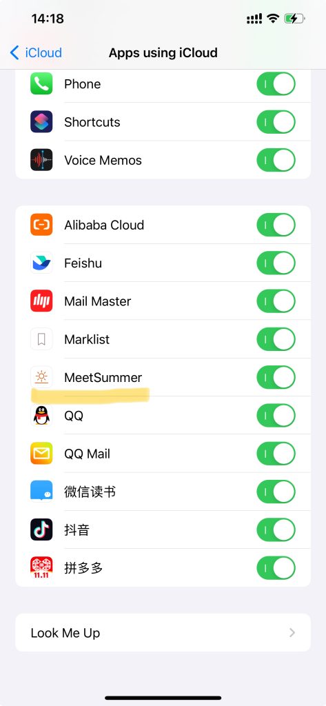 Enable iCloud Features for Apps: MeetSummer